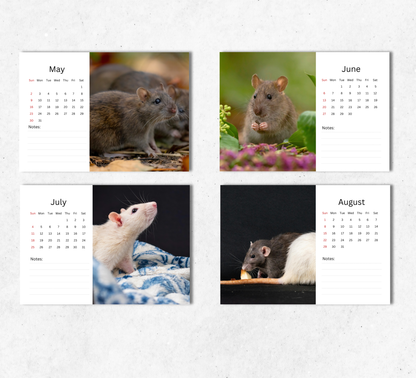Rat Desk Calendar 2027-2028