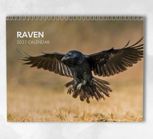 Raven Calendar 2027