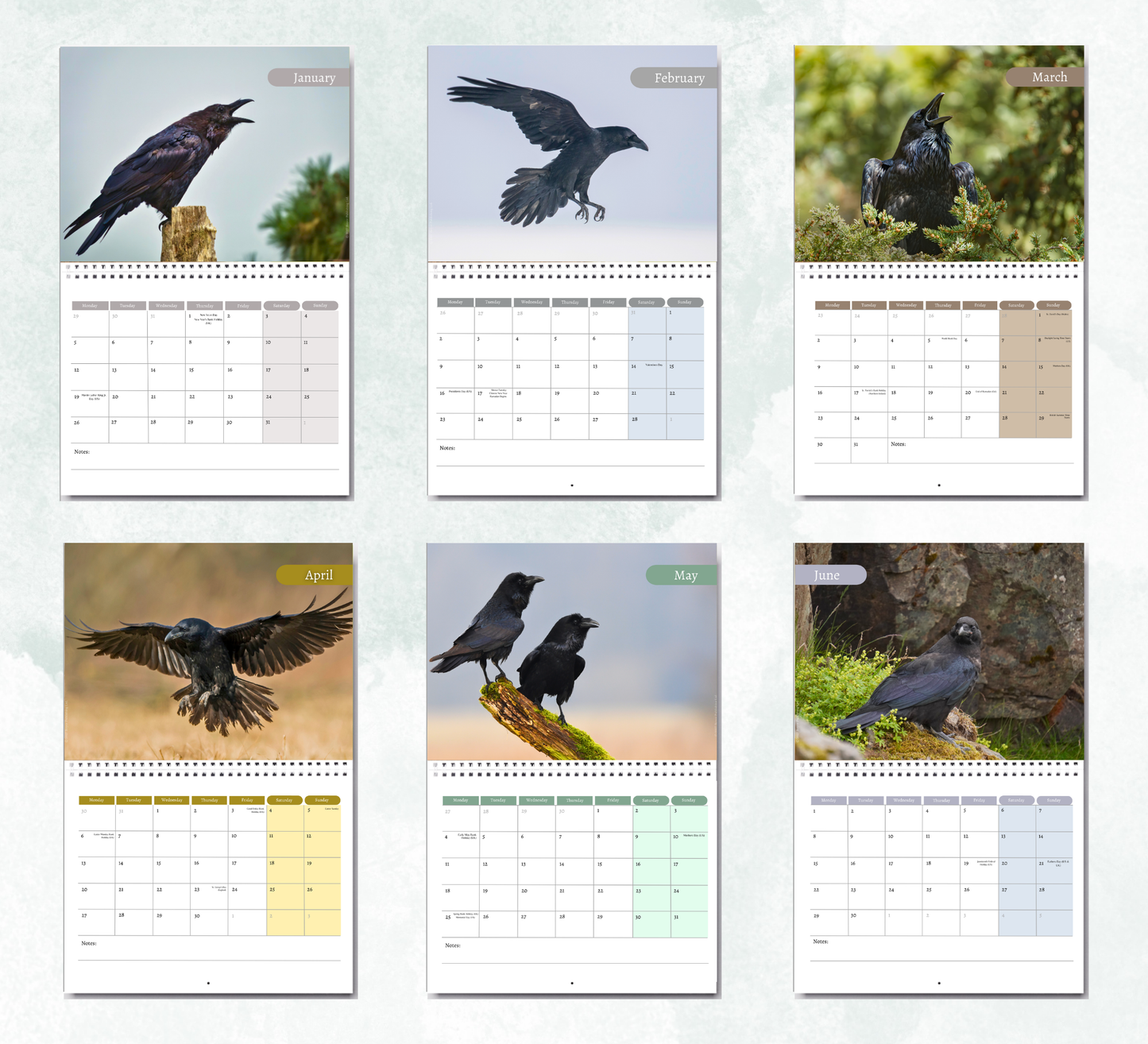 Raven Calendar 2027