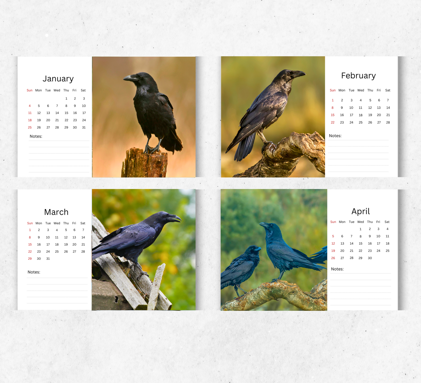 Raven Desk Calendar 2026-2027