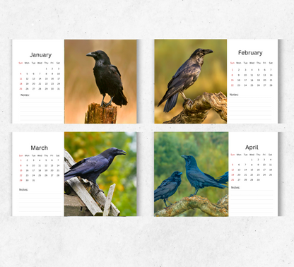 Raven Desk Calendar 2026-2027