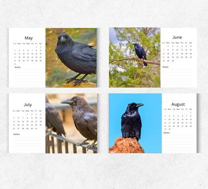 Raven Desk Calendar 2026-2027