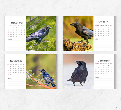 Raven Desk Calendar 2026-2027