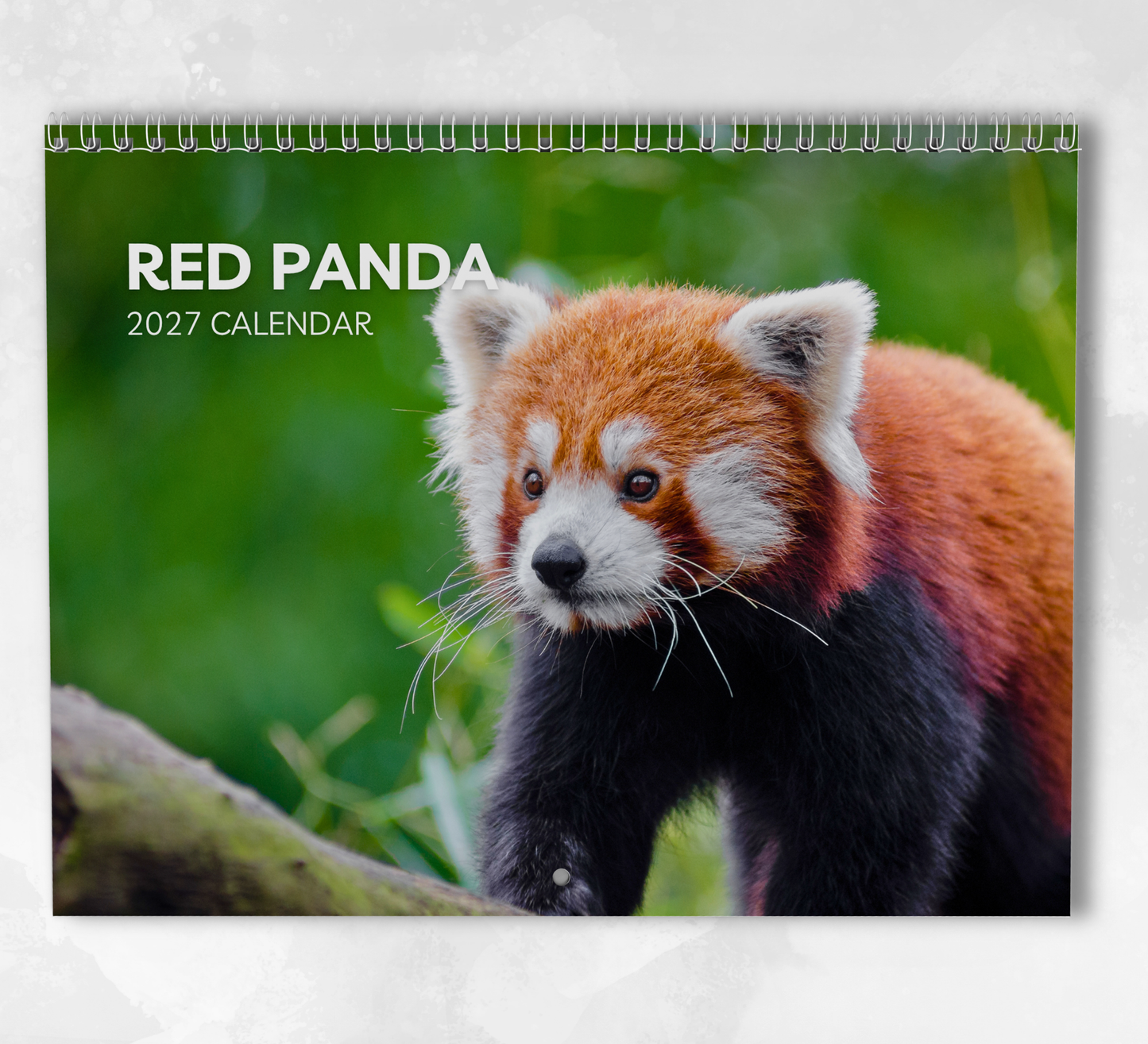 Red Panda Calendar 2027