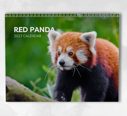 Red Panda Calendar 2027