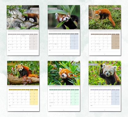 Red Panda Calendar 2027