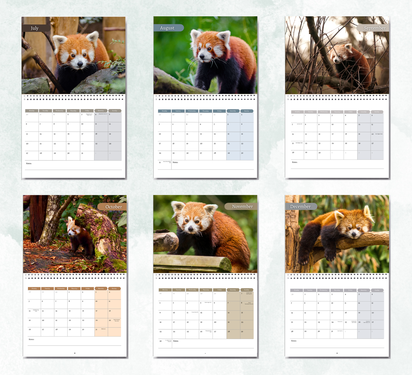 Red Panda Calendar 2027
