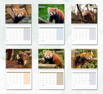Red Panda Calendar 2027