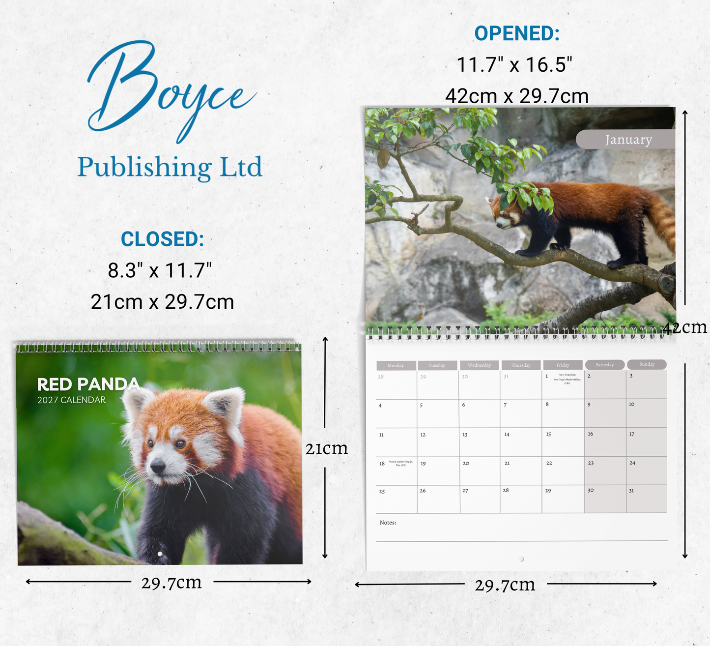 Red Panda Calendar 2027