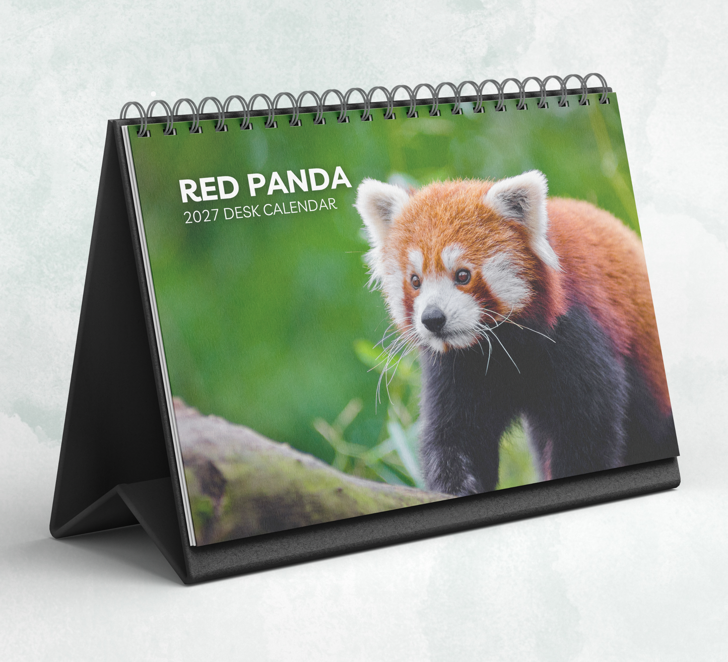 Red Panda Desk Calendar 2027-2028