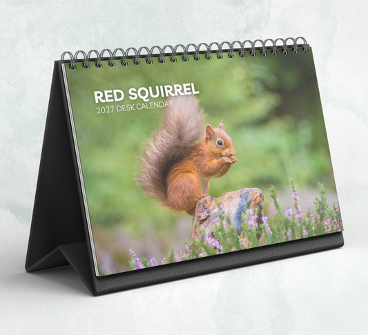 Red Squirrel Desk Calendar 2027-2028