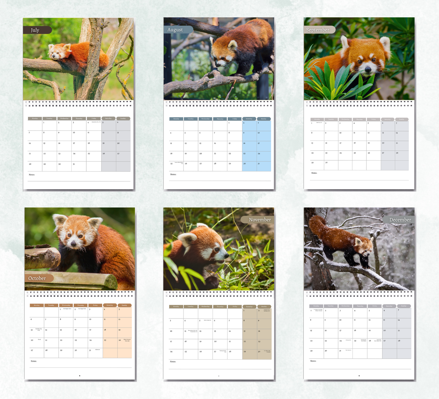 Red Panda Calendar 2026