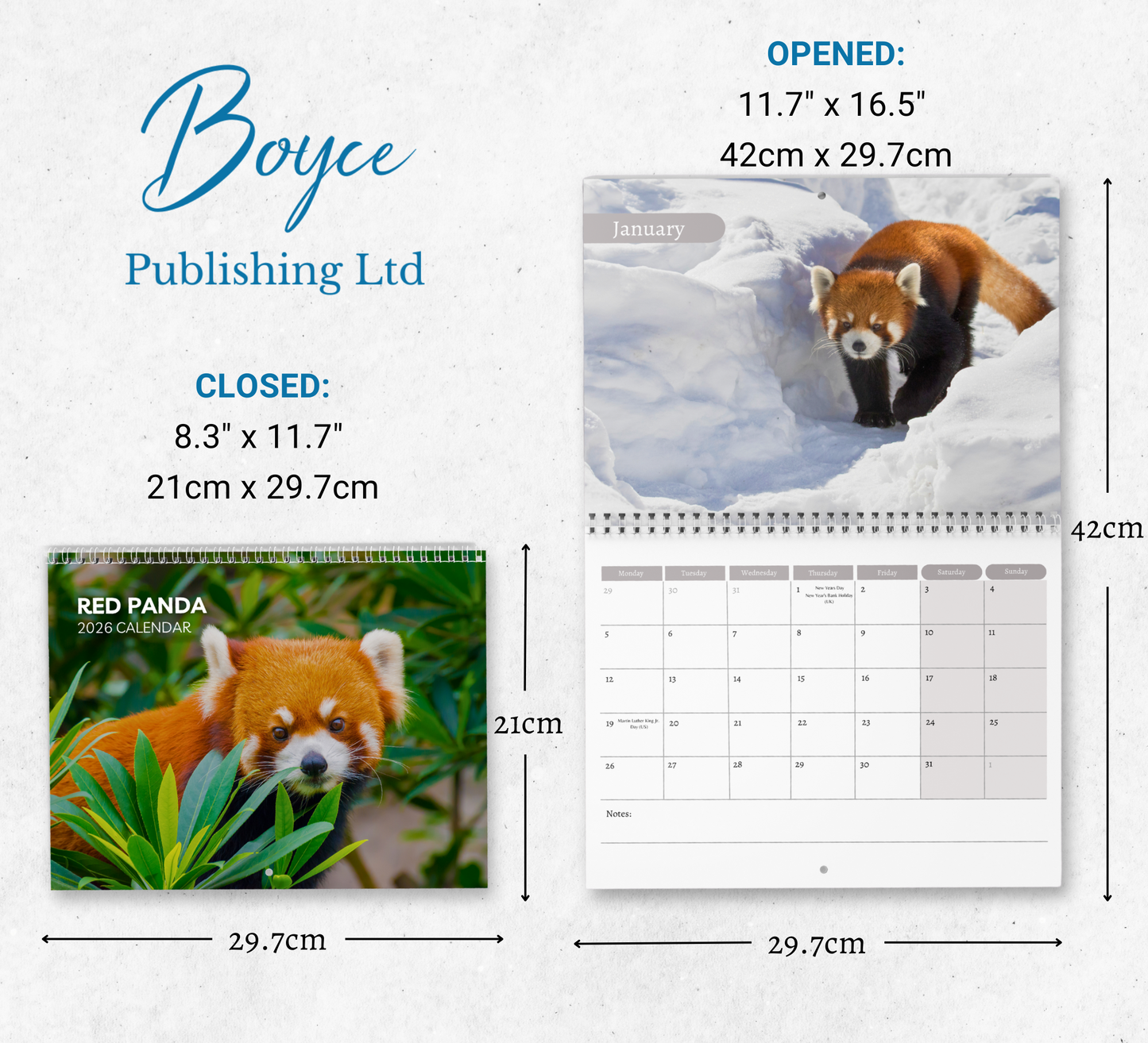 Red Panda Calendar 2026