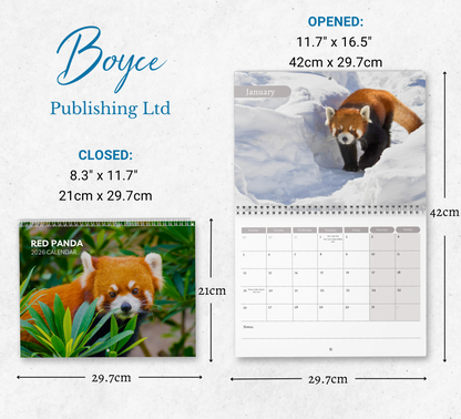 Red Panda Calendar 2026