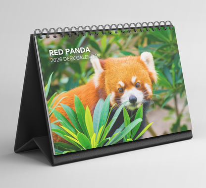 Red Panda Desk Calendar 2026-2027