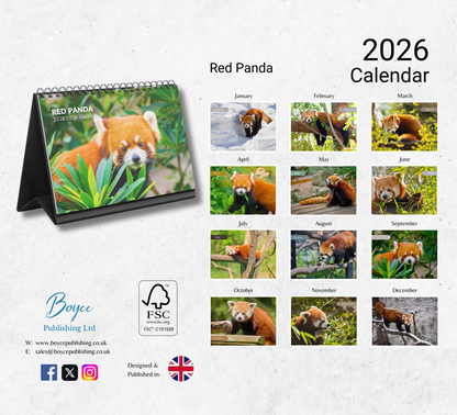Red Panda Desk Calendar 2026-2027