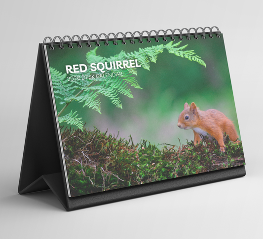 Red Squirrel Desk Calendar 2026-2027