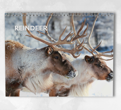 Reindeer Calendar 2027