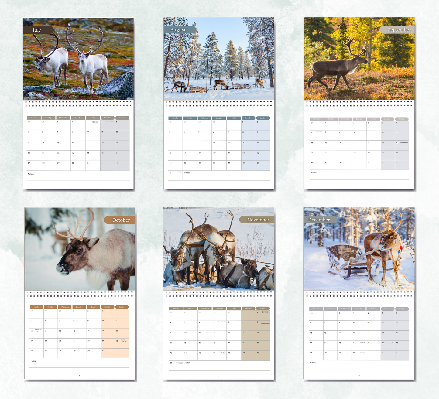 Reindeer Calendar 2027