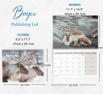 Reindeer Calendar 2027
