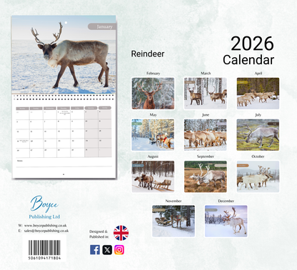 Reindeer Calendar 2026