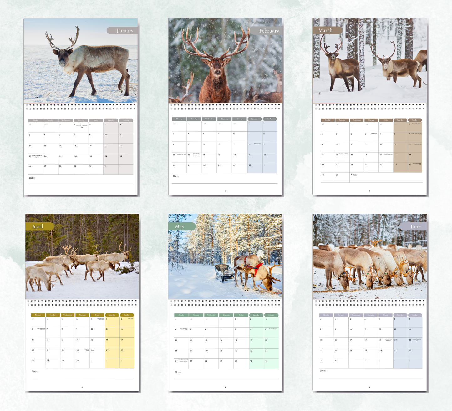 Reindeer Calendar 2026