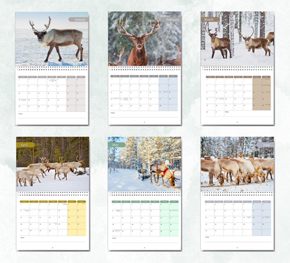 Reindeer Calendar 2026