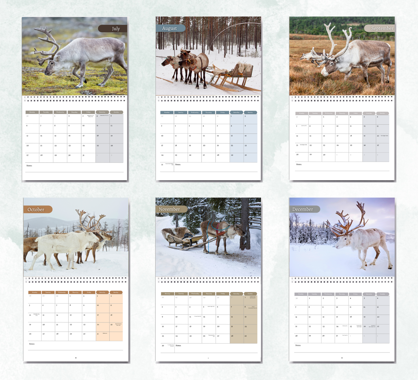 Reindeer Calendar 2026