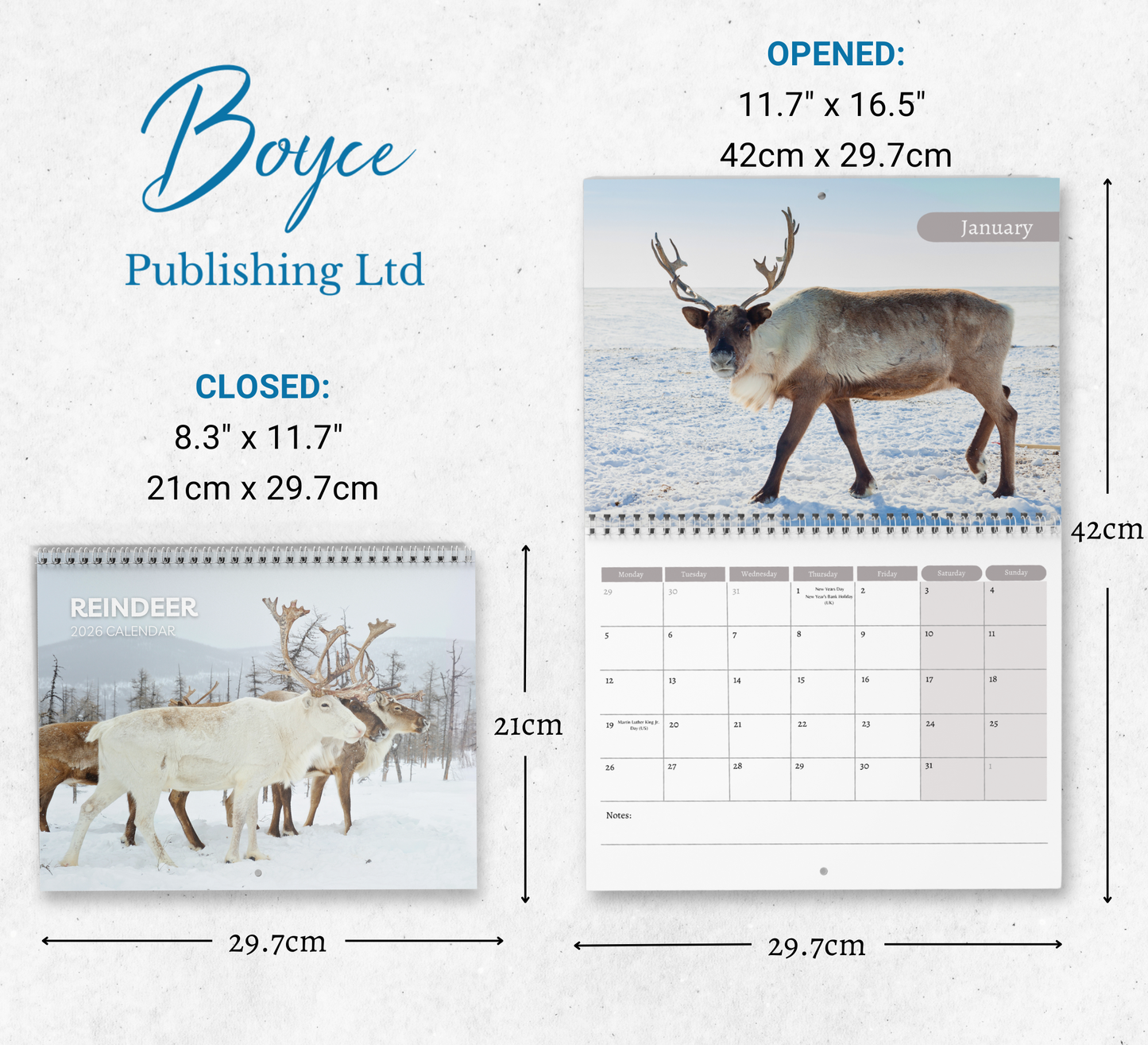 Reindeer Calendar 2026