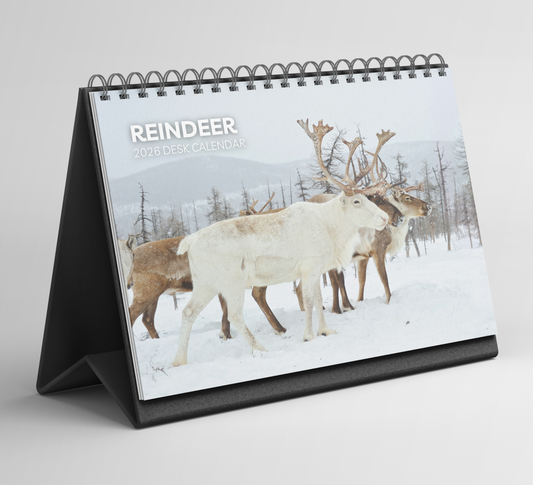 Reindeer Desk Calendar 2026-2027