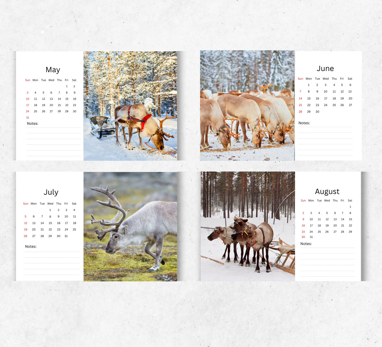 Reindeer Desk Calendar 2026-2027