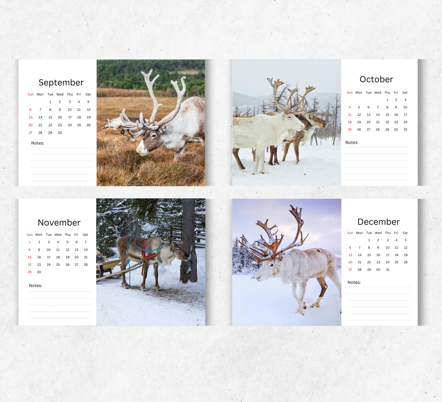 Reindeer Desk Calendar 2026-2027