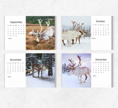 Reindeer Desk Calendar 2026-2027