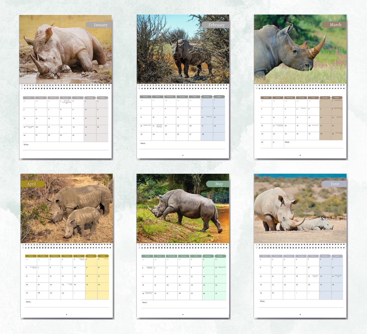 Rhino Calendar 2027