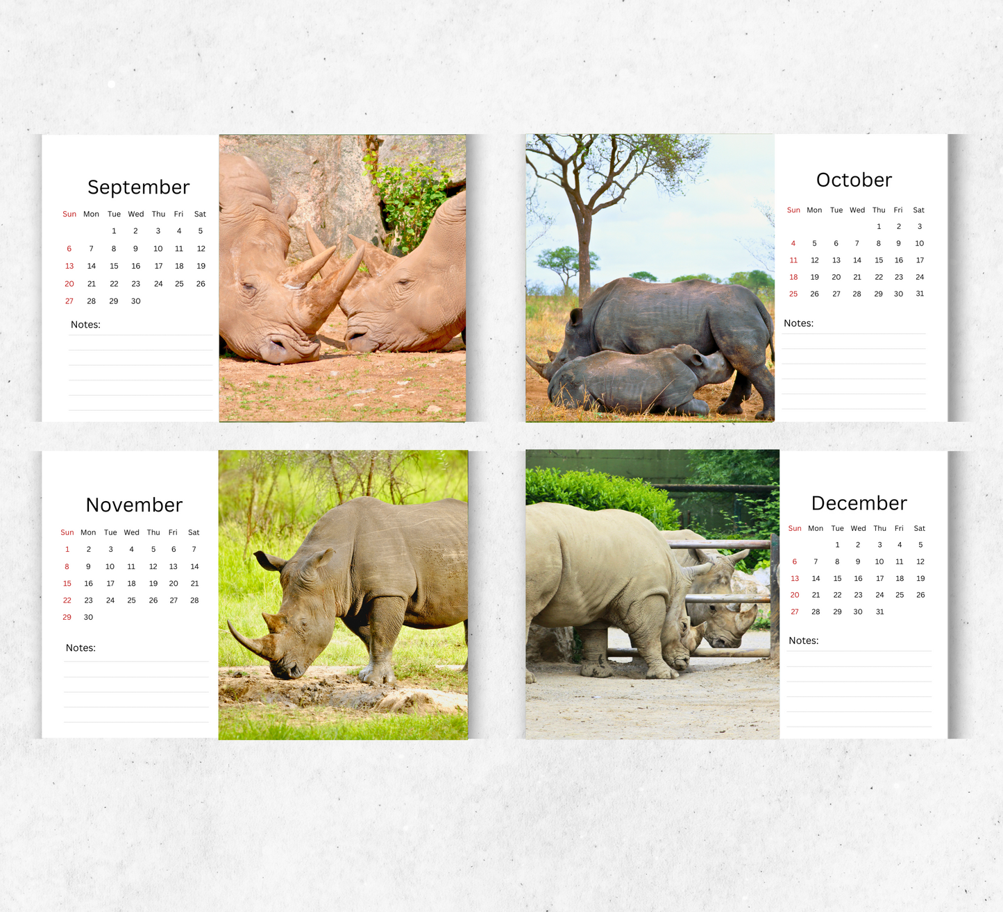 Rhino Desk Calendar 2026-2027
