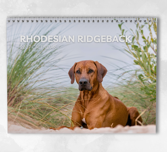 Rhodesian Ridgeback Calendar 2027
