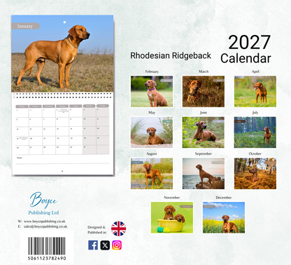Rhodesian Ridgeback Calendar 2027