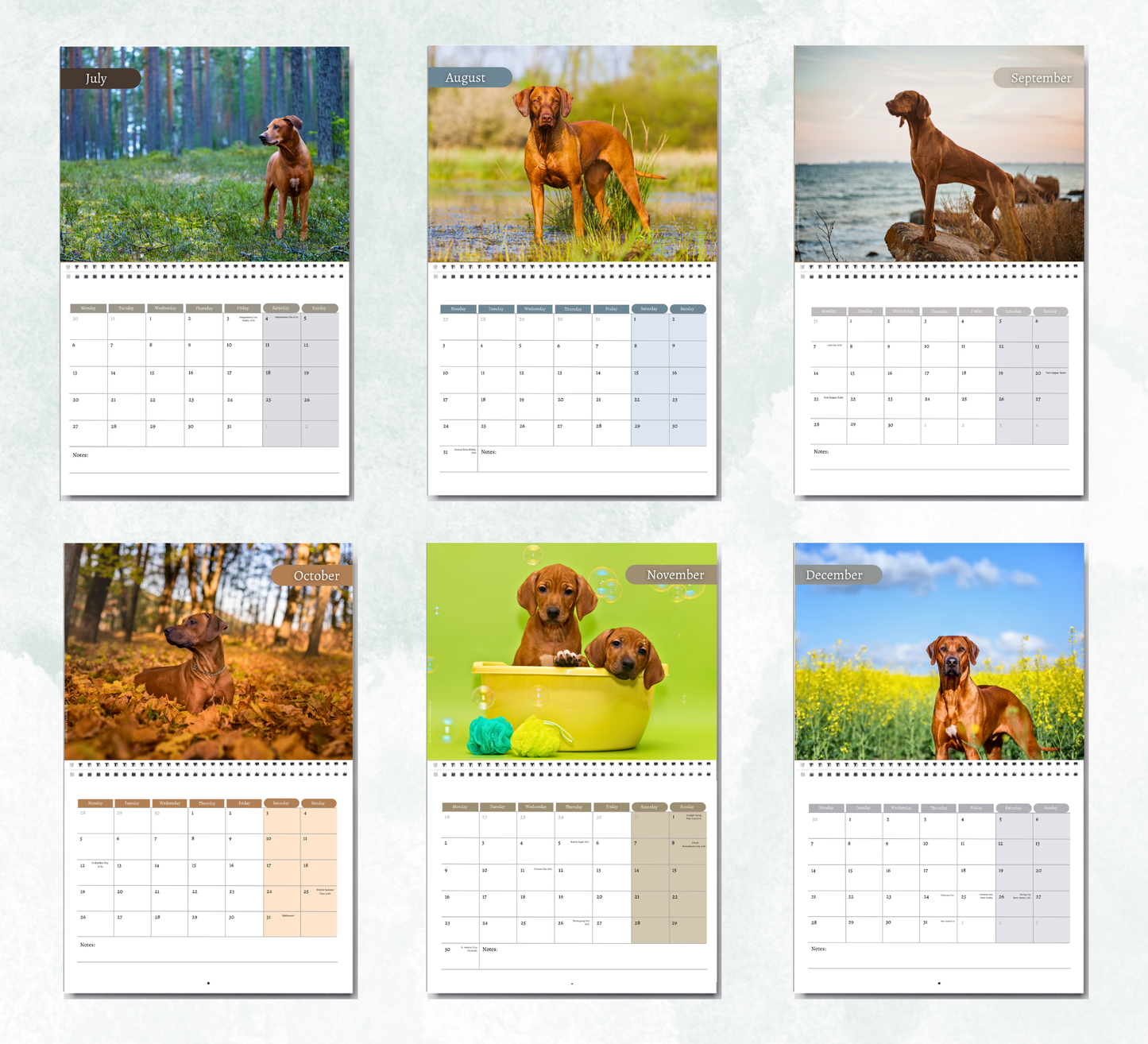 Rhodesian Ridgeback Calendar 2027