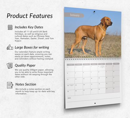 Rhodesian Ridgeback Calendar 2027