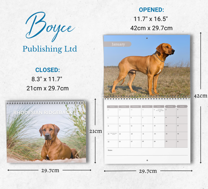 Rhodesian Ridgeback Calendar 2027