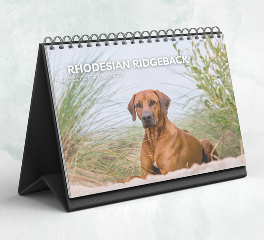Rhodesian Ridgeback Desk Calendar 2027-2028