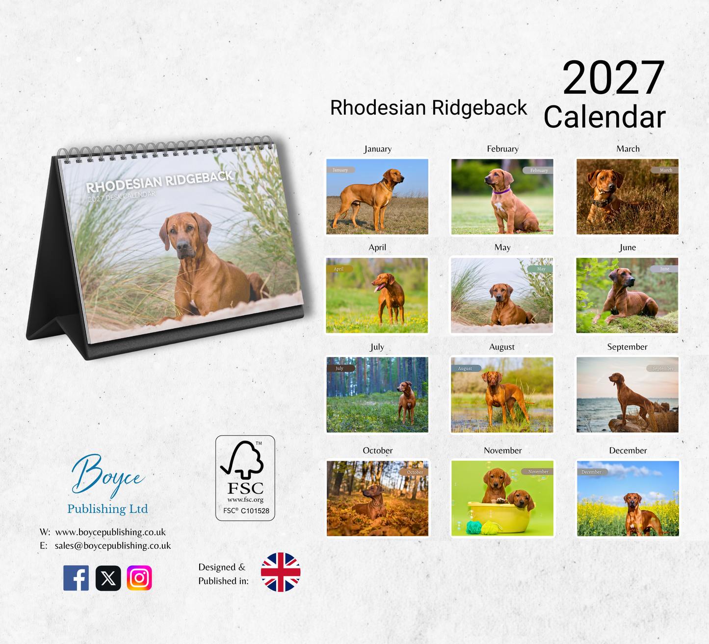 Rhodesian Ridgeback Desk Calendar 2027-2028