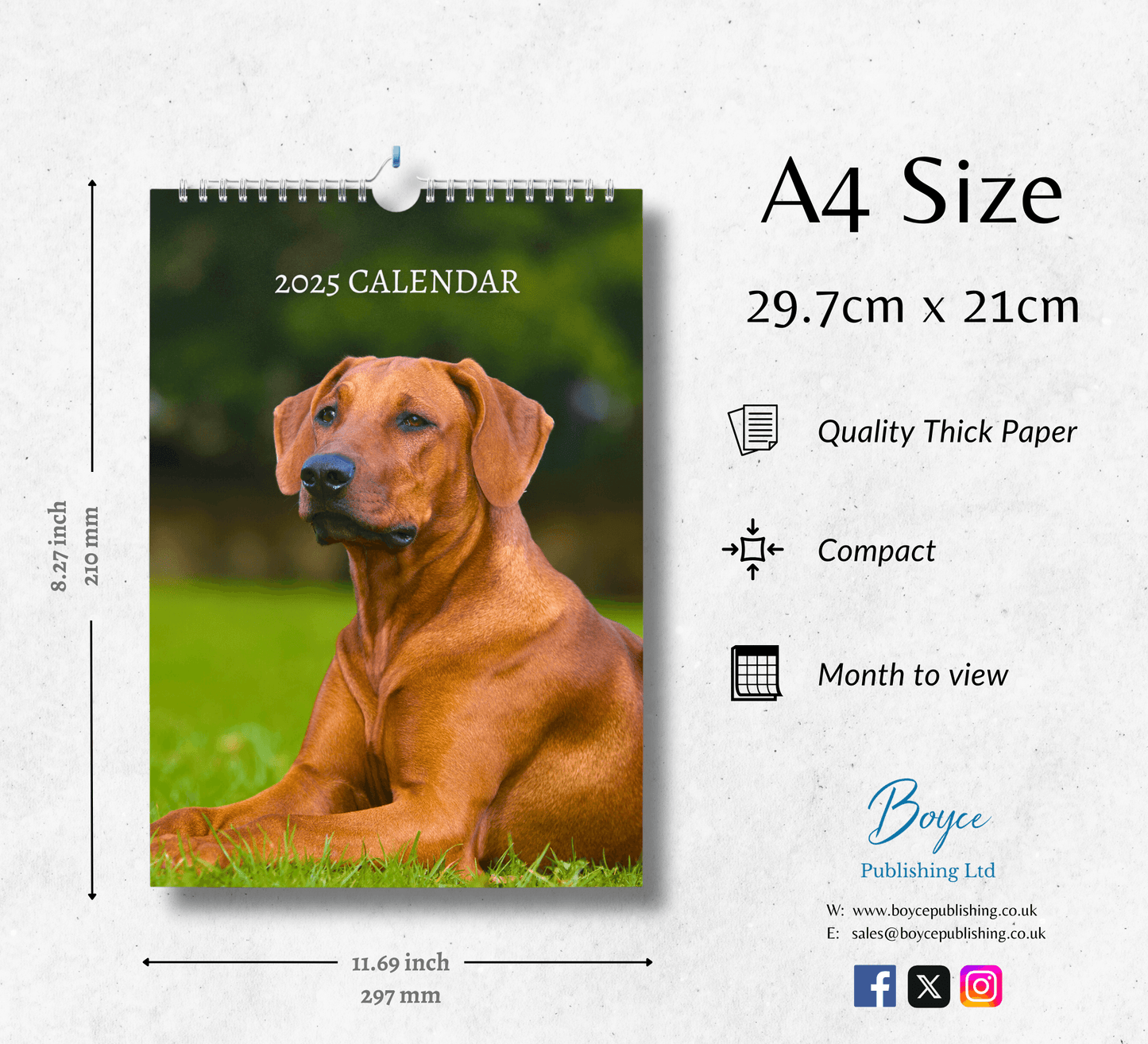 Rhodesian Ridgeback Calendar 2025