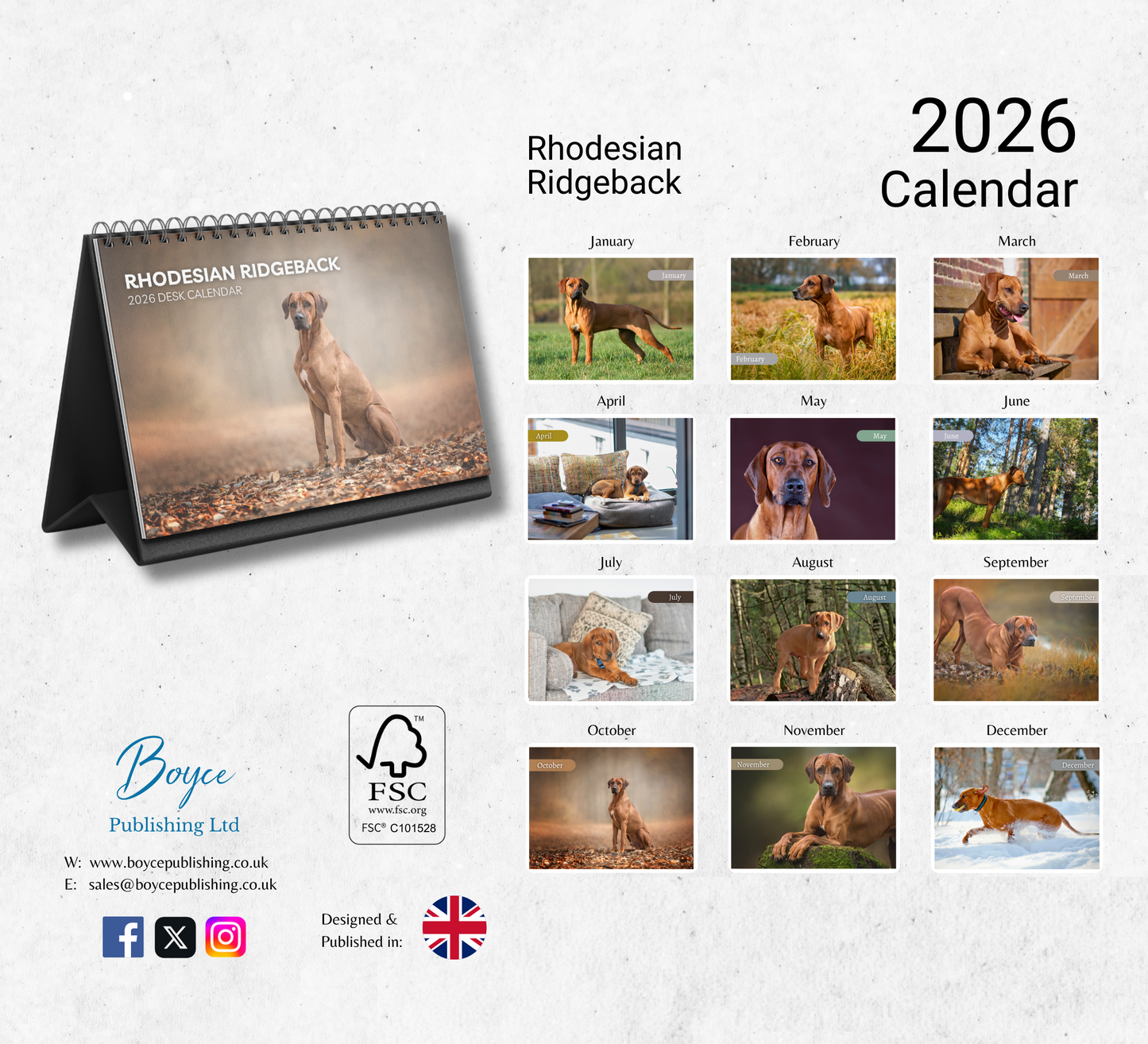 Rhodesian Ridgeback Desk Calendar 2026-2027