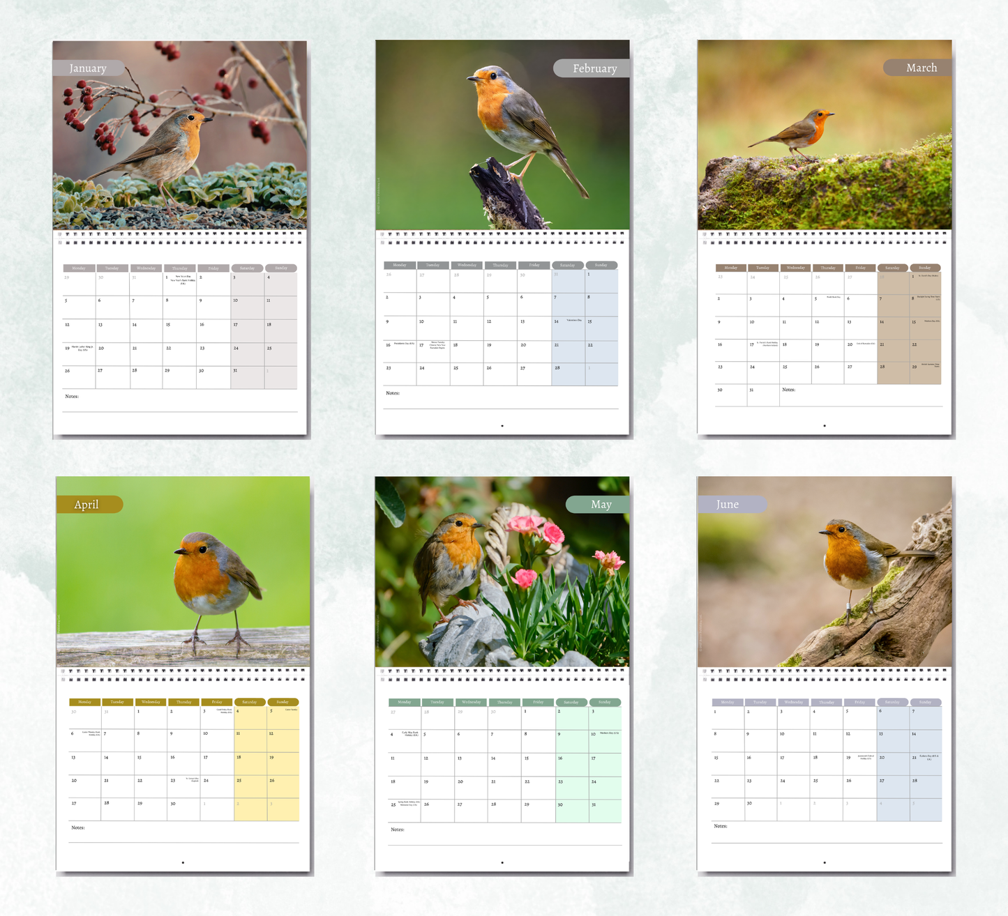 Robin Calendar 2027