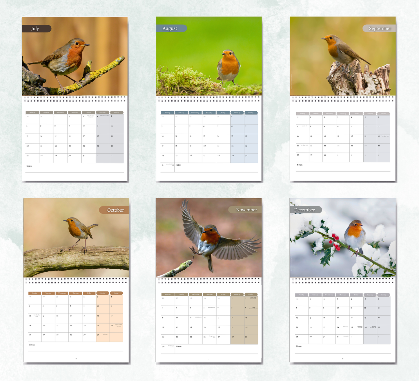 Robin Calendar 2027