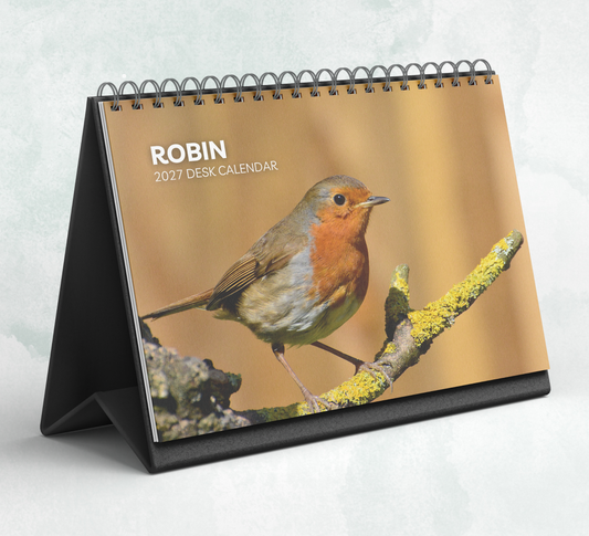 Robin Desk Calendar 2027-2028