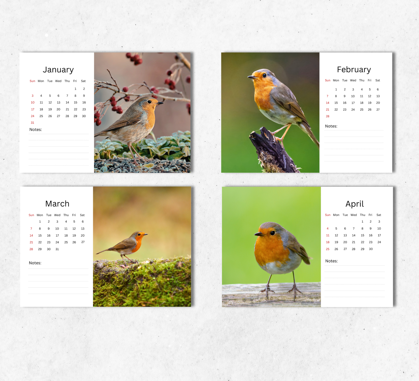 Robin Desk Calendar 2027-2028