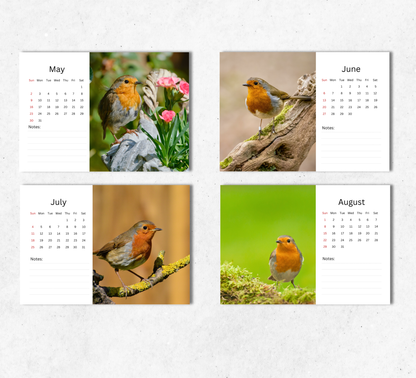 Robin Desk Calendar 2027-2028