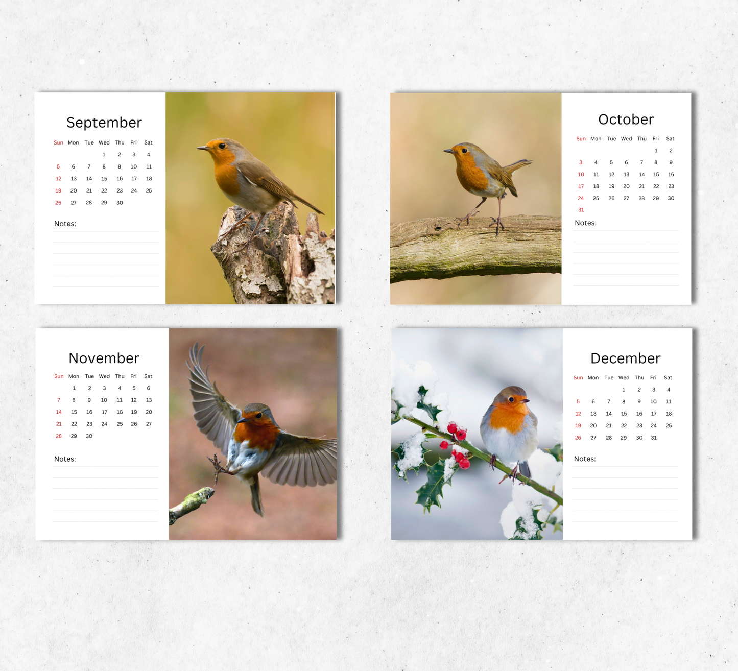 Robin Desk Calendar 2027-2028
